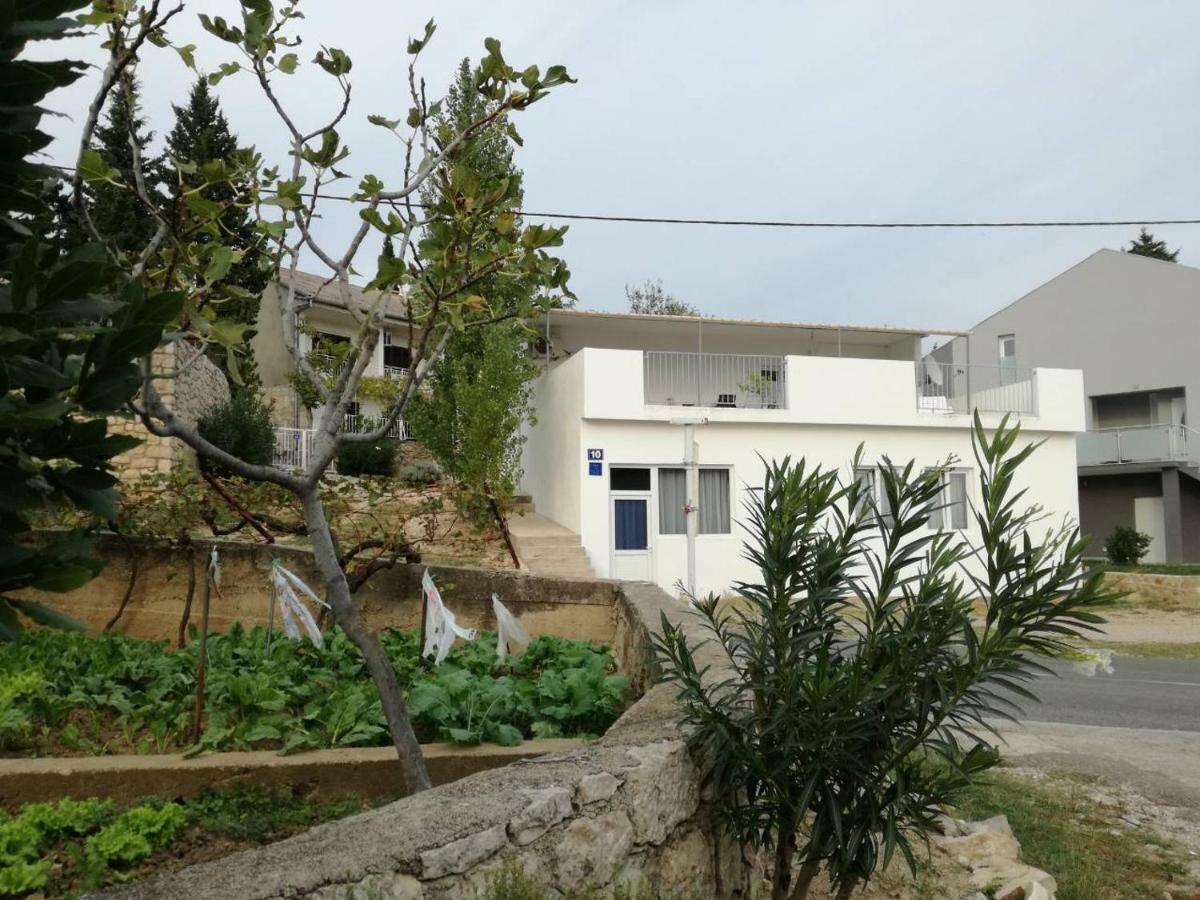 House Zara Villa Maslenica Bagian luar foto